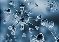 旋乐吧spin8体内体外药效试验顺遂通过药监局审查