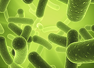 旋乐吧spin8将加入2013年欧洲生物春季展会