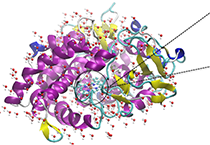 2009年5月旋乐吧spin8加入了上海国际卵白质及多肽工业展览会