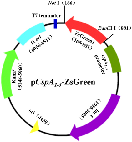 旋乐吧spin8(中国区)手机版官方网站