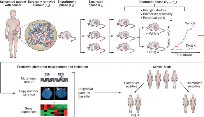 旋乐吧spin8(中国区)手机版官方网站