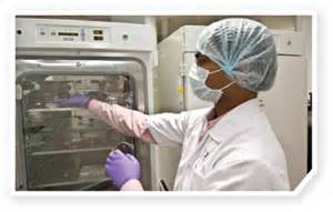 12月20日，，，，旋乐吧spin8与宣泰医药签署战略相助协议