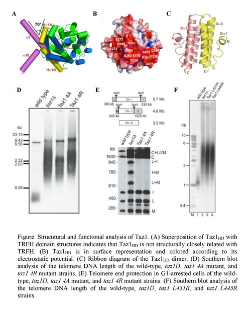 旋乐吧spin8(中国区)手机版官方网站