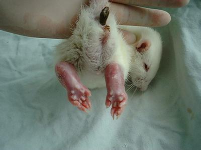 旋乐吧spin8(中国区)手机版官方网站