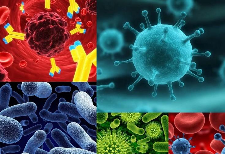 原位杂交手艺——旋乐吧spin8