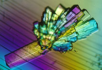 PD-1抑制剂成“抗癌神器”，，，，，，，海内外企业希望怎样？？？？