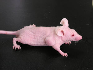 旋乐吧spin8(中国区)手机版官方网站