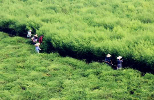 旋乐吧spin8(中国区)手机版官方网站