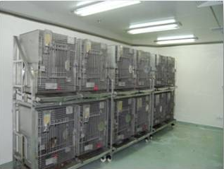 旋乐吧spin8猴房