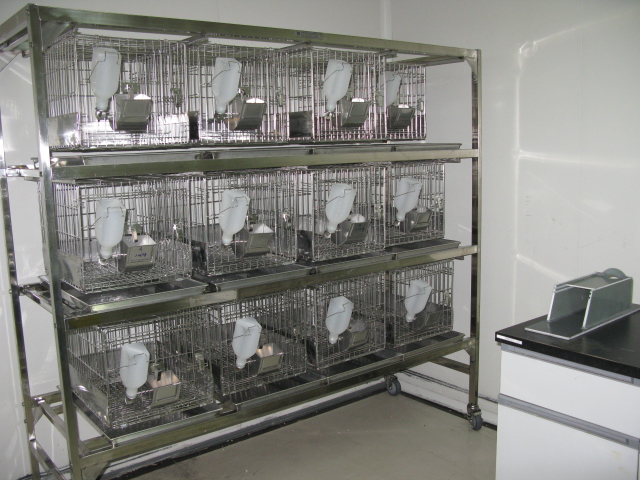 旋乐吧spin8普亚新动物房通过上海动管会验收