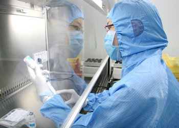 BE试验：怎样提升试验乐成率