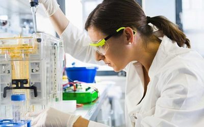 旋乐吧spin8人类疾病动物模子