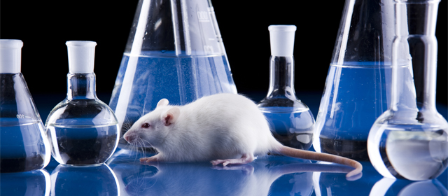 旋乐吧spin8(中国区)手机版官方网站