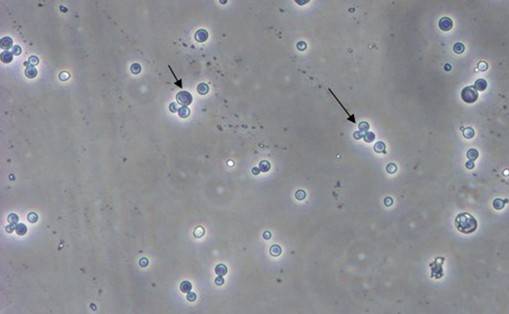 旋乐吧spin8(中国区)手机版官方网站