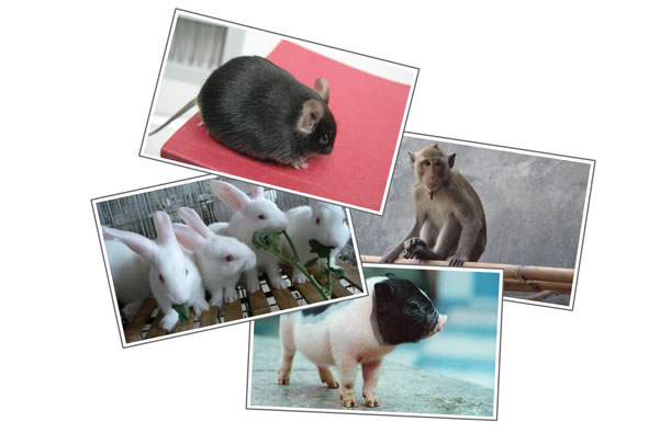 旋乐吧spin8(中国区)手机版官方网站