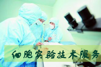旋乐吧spin8细胞实验效劳外包