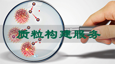 旋乐吧spin8质粒构建效劳