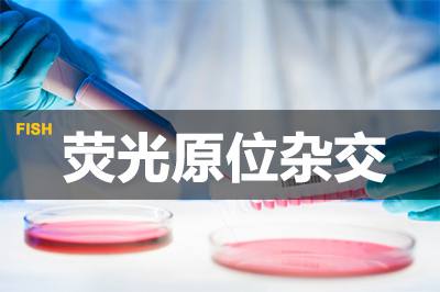 旋乐吧spin8荧光原位杂交手艺