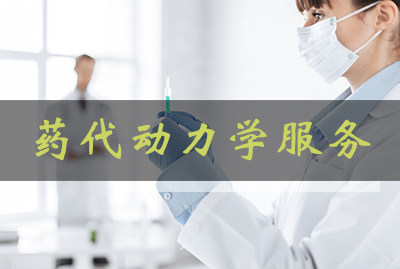 旋乐吧spin8药代动力学效劳