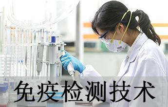 旋乐吧spin8免疫学检测手艺剖析效劳