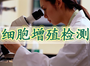 旋乐吧spin8细胞增殖检测