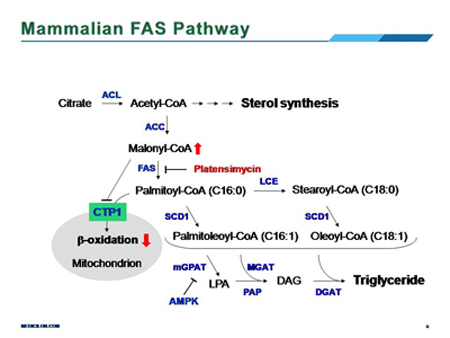 旋乐吧spin8(中国区)手机版官方网站