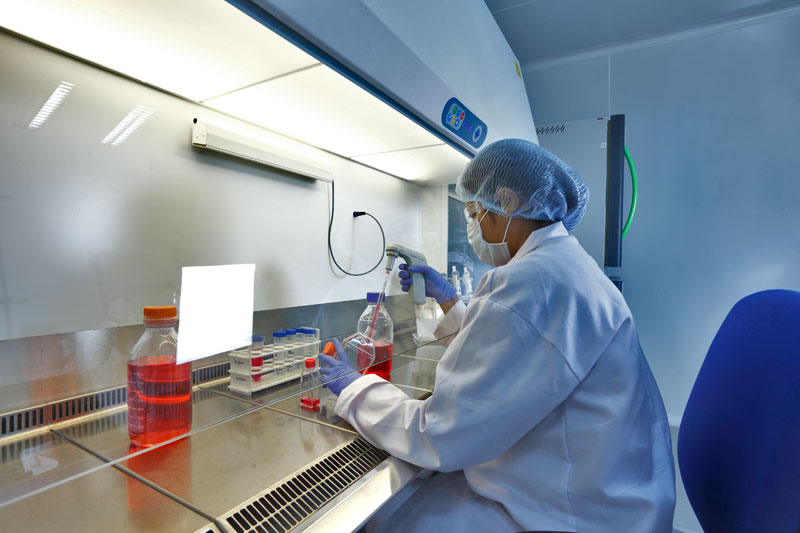 首批勉励研发申报儿童药摸底