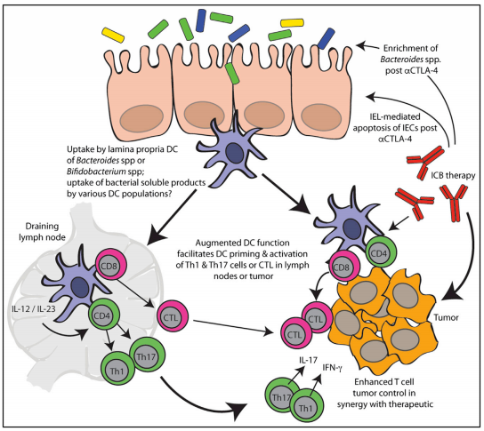 旋乐吧spin8(中国区)手机版官方网站