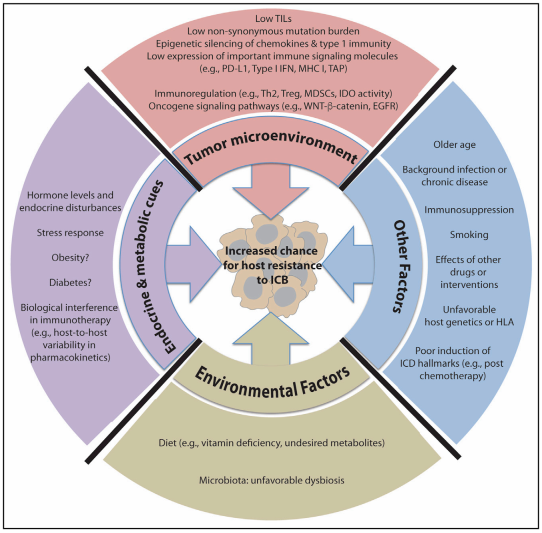 旋乐吧spin8(中国区)手机版官方网站