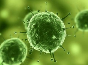 旋乐吧spin8(中国区)手机版官方网站