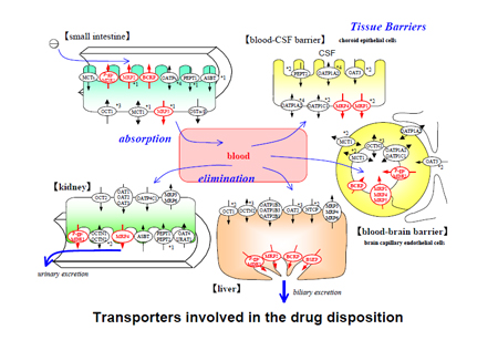 旋乐吧spin8(中国区)手机版官方网站