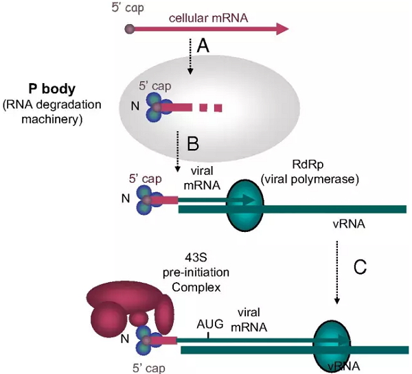 旋乐吧spin8(中国区)手机版官方网站