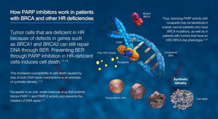 旋乐吧spin8(中国区)手机版官方网站