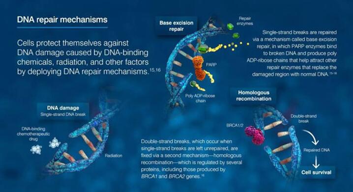 旋乐吧spin8(中国区)手机版官方网站