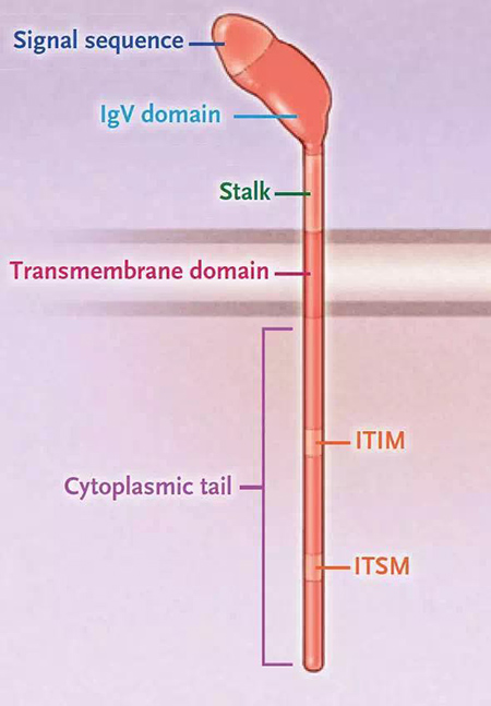 旋乐吧spin8(中国区)手机版官方网站