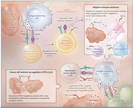 旋乐吧spin8(中国区)手机版官方网站