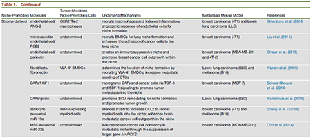 旋乐吧spin8(中国区)手机版官方网站
