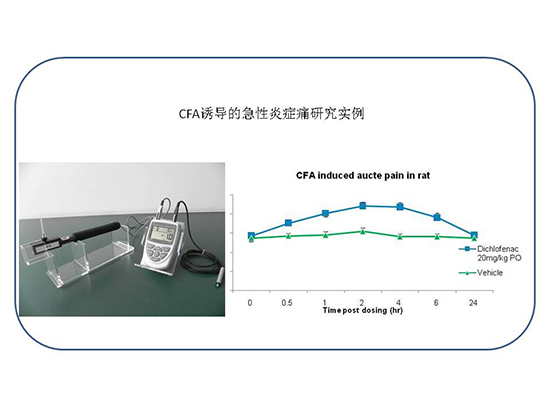 旋乐吧spin8(中国区)手机版官方网站