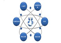旋乐吧spin8药效动物模子效劳平台
