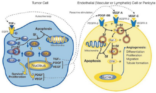 旋乐吧spin8(中国区)手机版官方网站