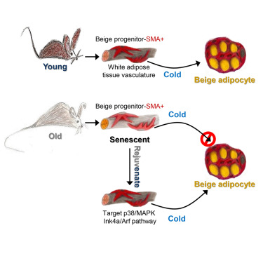 旋乐吧spin8(中国区)手机版官方网站
