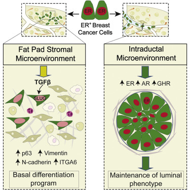 旋乐吧spin8(中国区)手机版官方网站