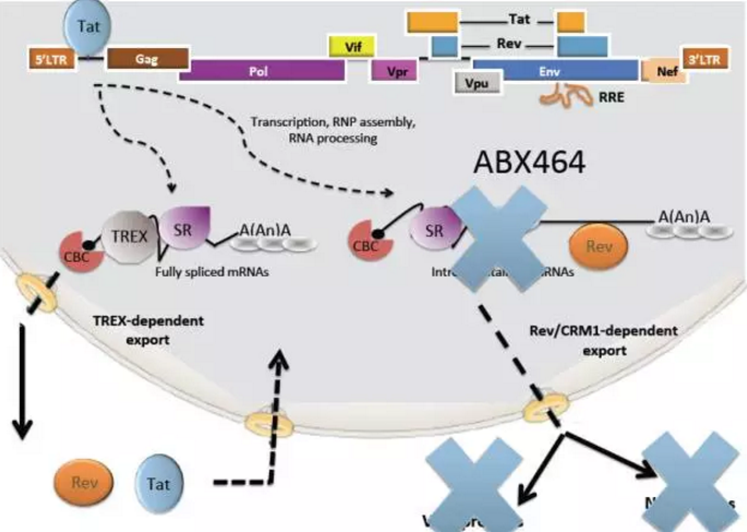 旋乐吧spin8(中国区)手机版官方网站