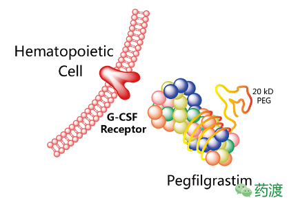 旋乐吧spin8(中国区)手机版官方网站