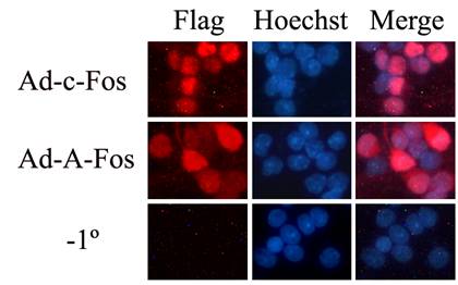 旋乐吧spin8(中国区)手机版官方网站