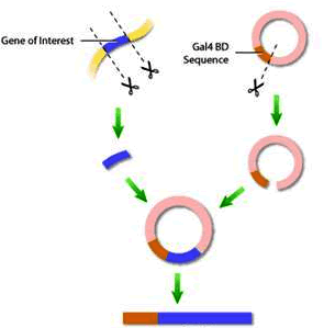 旋乐吧spin8(中国区)手机版官方网站