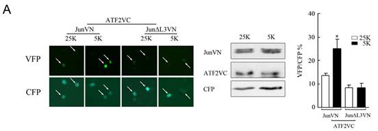 旋乐吧spin8(中国区)手机版官方网站