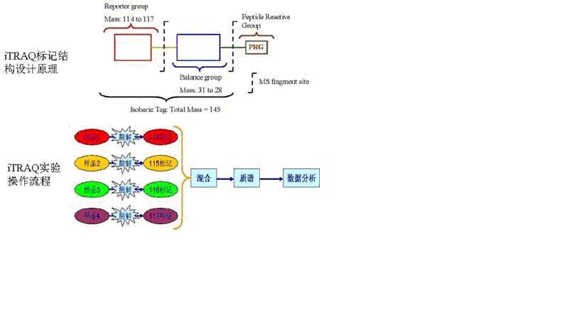 旋乐吧spin8(中国区)手机版官方网站