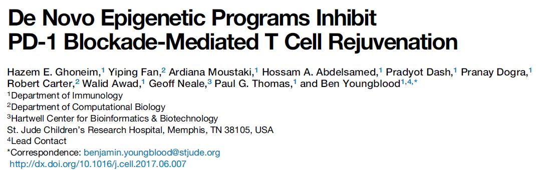 旋乐吧spin8(中国区)手机版官方网站