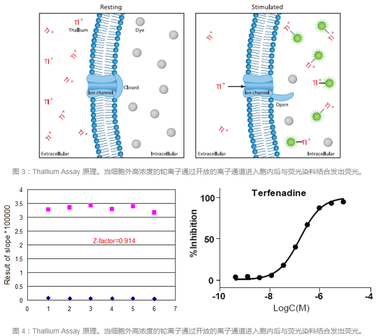 旋乐吧spin8(中国区)手机版官方网站